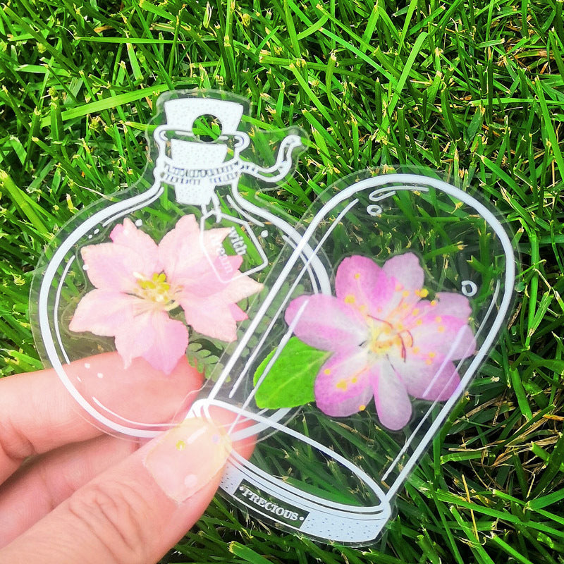 BloomCraft Transparent Flower Press Bookmark Set 30 Pieces for DIY Crafts and Gifts