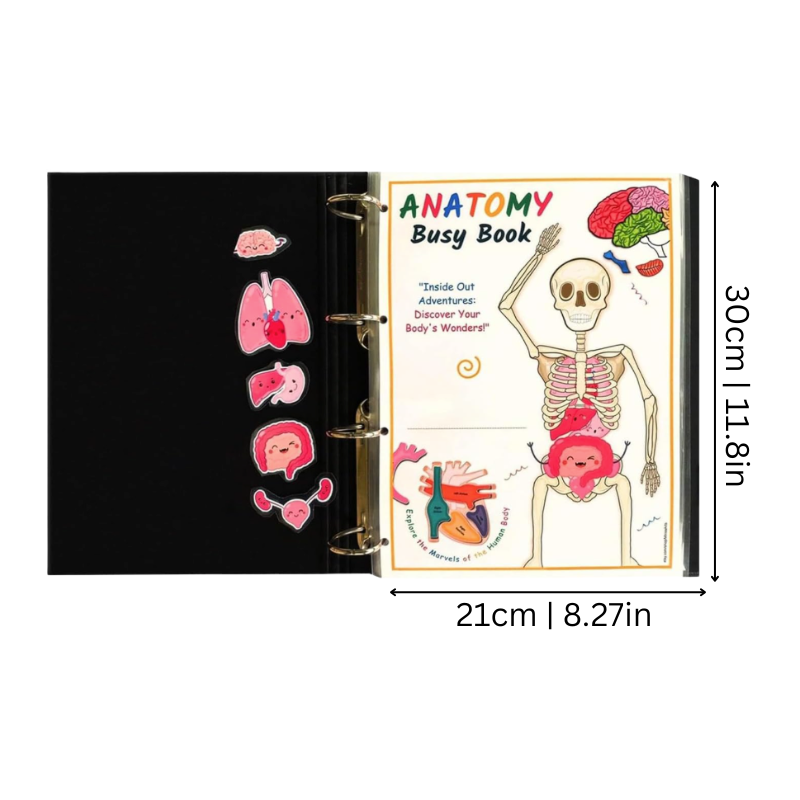 BodyWise Human Body Anatomy Interactive Learning Book for Kids