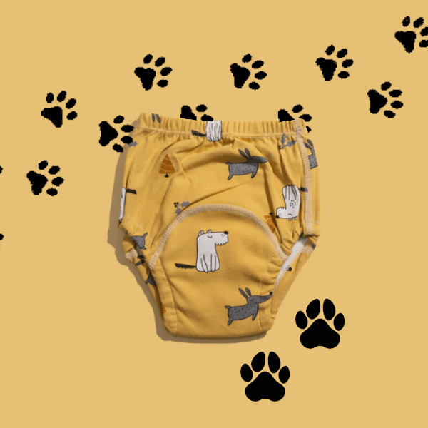 EasyFit Potty Training Diapers for Toddlers Reusable Learning Underwear